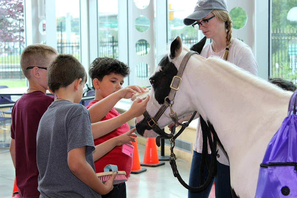 Kids attending School's Out Science Camps, petting a live horse during an animal camp.