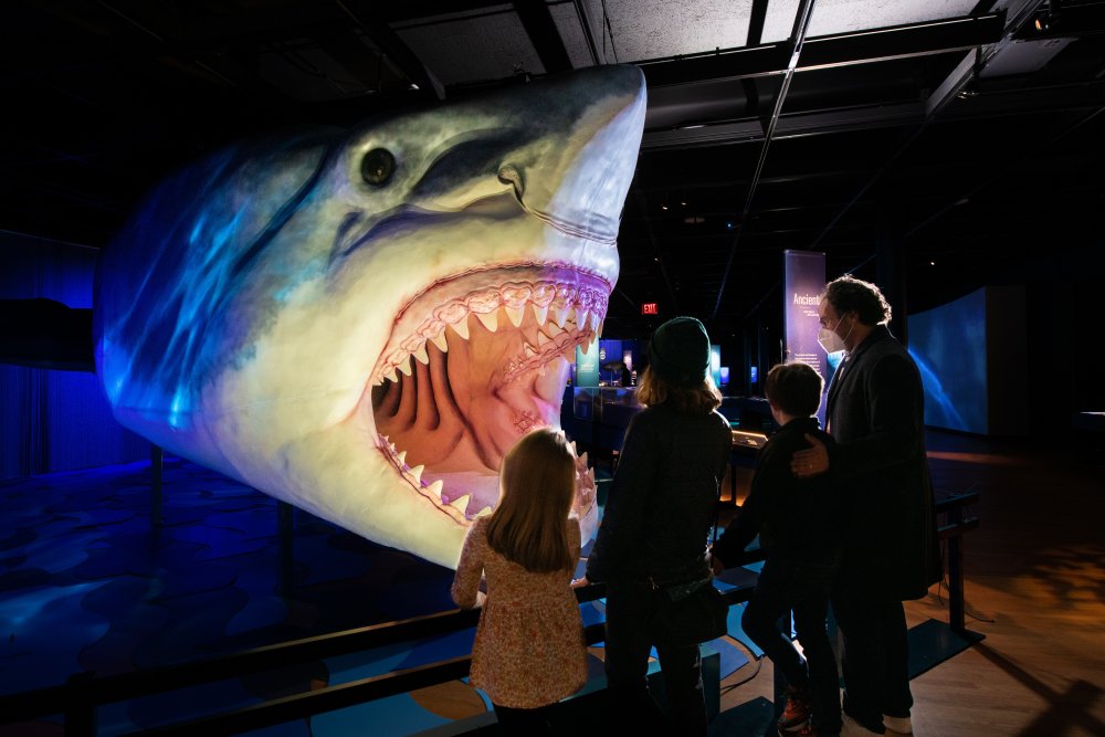 Photo of a family standing in front of a life-sized megalodon shark model