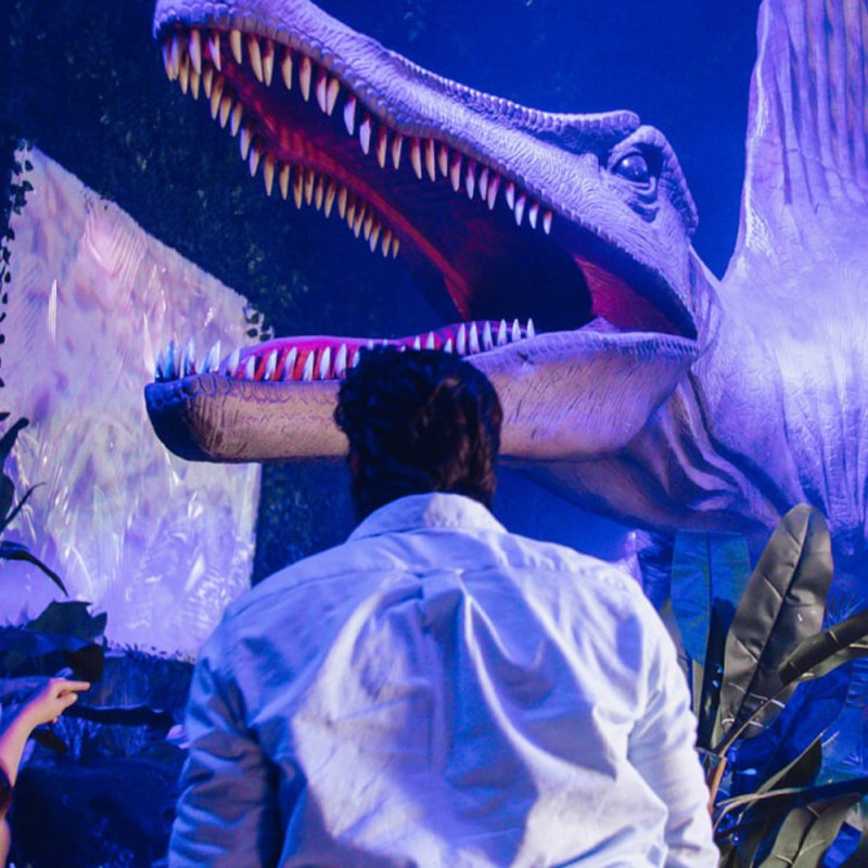 Photo of a person looking up at a life-size animatronic dinosaur