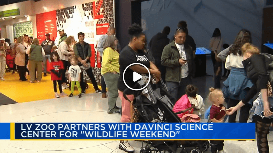 In the News: Wildlife Weekend brings creatures and conservation education to Da Vinci Science Center