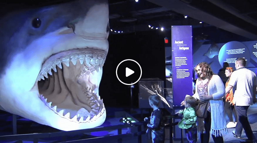 In the News: Da Vinci Science Center opens ‘Sharks’ exhibit