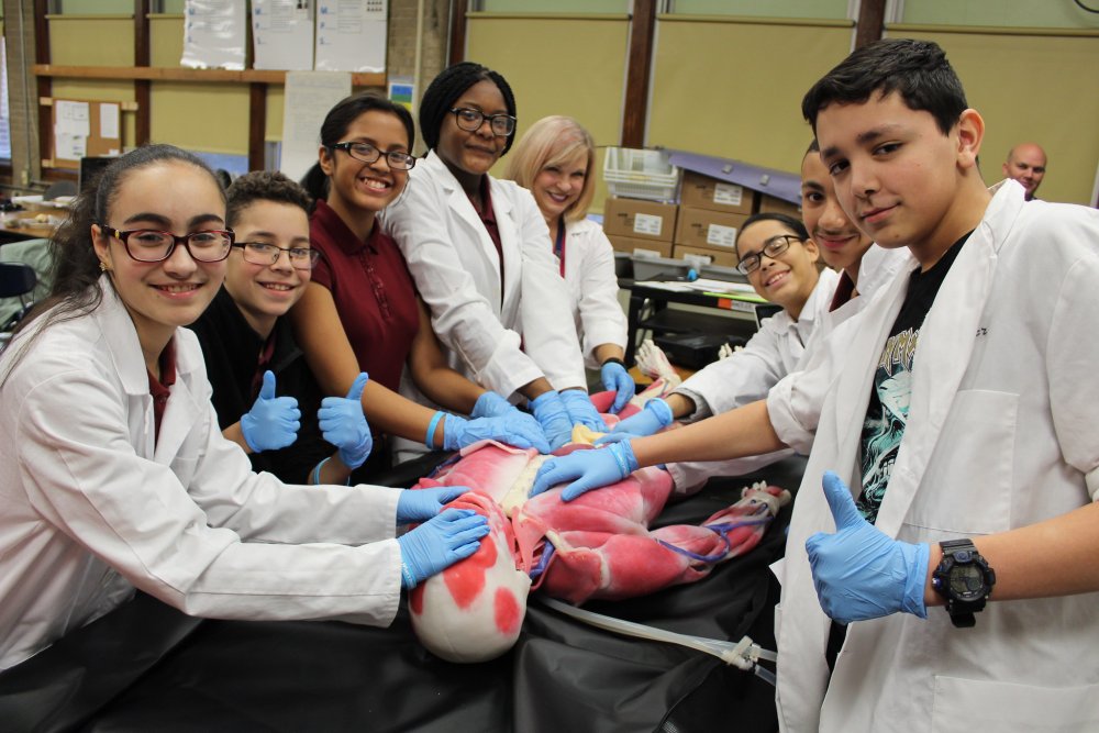 BSI Sponsors “Cyndi the SynDaver” at Da Vinci Science Center